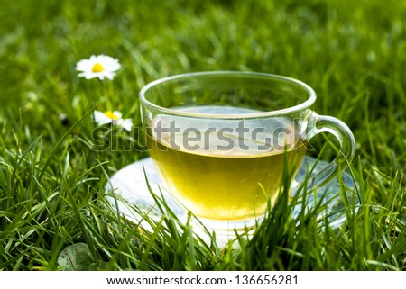 Cup of tea in the grass on sunny day