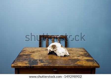 Chair and desk with a goat skull