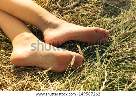 Woman\'s sun kissed feet in the grass