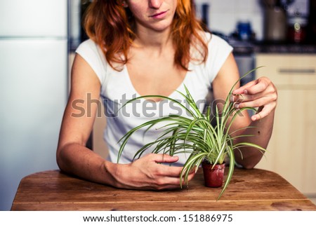Woman tidying her plant