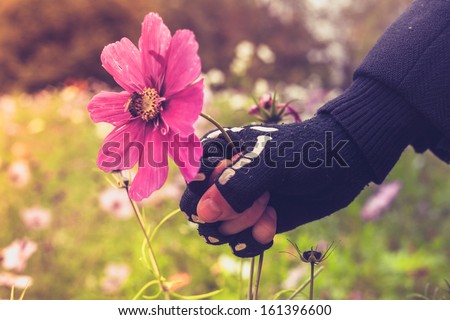 Hand in skeleton glove is violently grabbing flower with bee