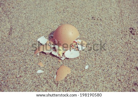 Broken egg shells on the beach