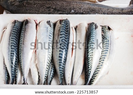 A bunch of cleaned and gutted mackerel arranged in a box with ice