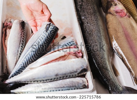 Hands arranging freshly cleaned fish in a box with ice