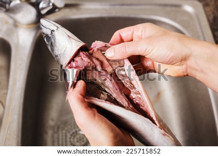 Close up on the hands of a young woman as she is gutting and cleaning a fish in the kitchen