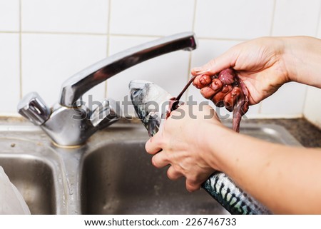 Close up on the hands of a young woman as she is gutting and cleaning a fish in the kitchen