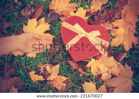 A female hand is about to pick up a heart shaped box from the ground in a park in autumn