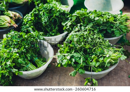 Bunches of coriander at a vegetable market