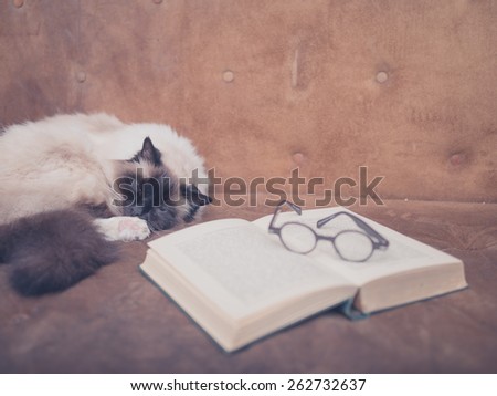 A cat is studying an open book and a pair of glasses on a sofa