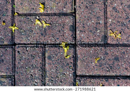 Petals of a yellow flower scattered across a brick surface outside