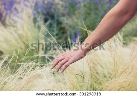 A young female hand is touching some grass outside in summer