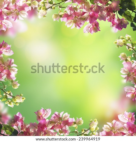 Blooming flowers and green summer (spring) bokeh background