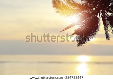 Tropical beach background at sunset (sunrise) with coconut palm tree