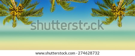 Vintage effect (retro style). Coconut palm trees, ocean and blurry beach. Tropic island background. Panoramic view.