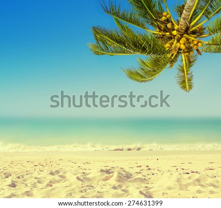 Tropic island background. Vintage (retro style). Coconut palm tree, sandy beach and ocean.