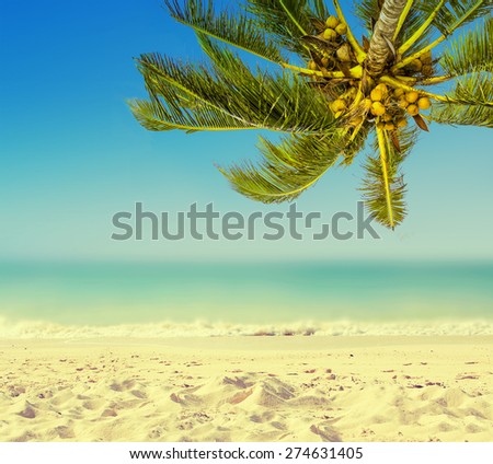 Tropic island background. Vintage (retro style). Coconut palm tree, sandy beach and ocean.
