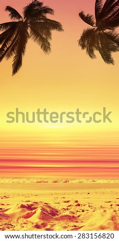 Coconut palm tree and sunset ocean landscape. Tropical paradise. Vertical view.