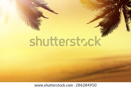 Golden beach tropical banner background. Coconut palm tree, sunlight and sunset over the sea.