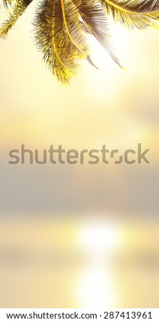 Tropical banner design background. Coconut palm tree, sunlight and blurry ocean. Vertical view.