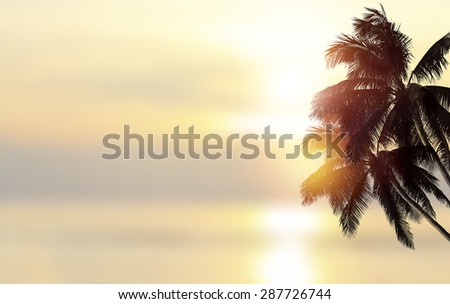 Shiny tropical landscape banner background. Coconut palm tree over blurry ocean.