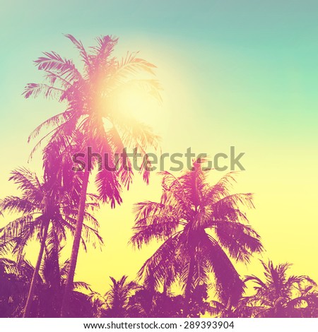 Tropical paradise design banner background. Coconut palm tree silhouettes at sunset. Vintage effect.