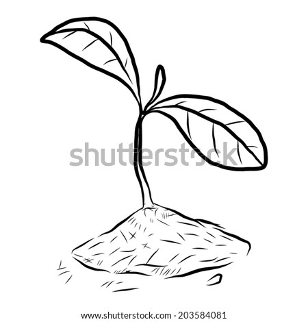 Growing Young Plant Form Soil / Cartoon Vector And Illustration, Black