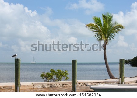 This image is of Grassy Key and the surrounding waters which is part of the Florida Keys.
