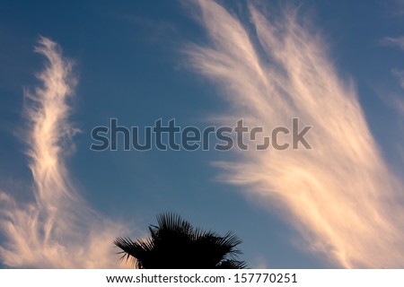 This is an image of cirrus clouds moving over Tampa, Florida. Cirrus clouds are wispy, feathery strands of ice crystals. These clouds are also known as mare\'s tails.