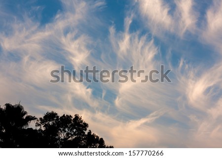 This is an image of cirrus clouds moving over Tampa, Florida. Cirrus clouds are wispy, feathery strands of ice crystals. These clouds are also known as mare\'s tails.