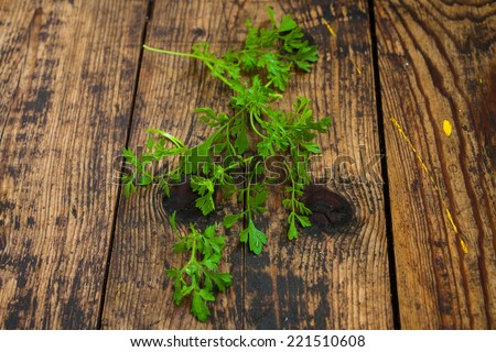 some leaves of a garden cress on a wooden table