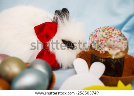 rabbit with a bow and an Easter cake for Easter, selective focus in the face of a rabbit