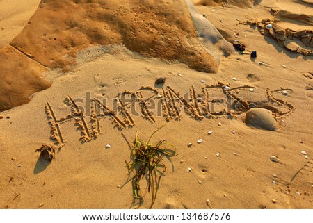 Happiness Word In Sand at Beach