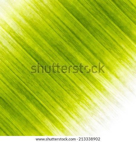 Fresh grass abstract design. Ecology background illustration.