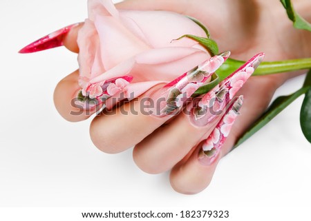Female hand with beautiful nails holds a rose.