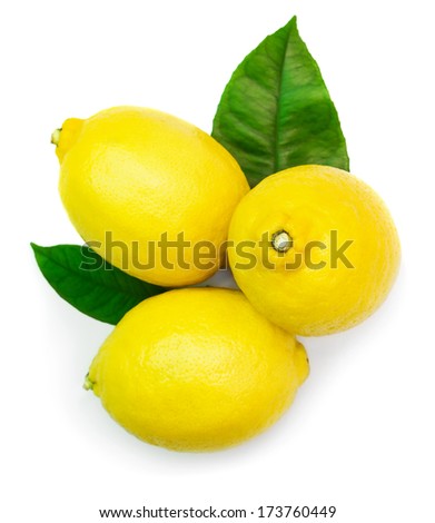 Three lemons with leaves isolated on white background