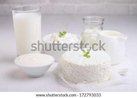 dairy products: milk, yogurt, cottage cheese, cream, sour cream, cream cheese