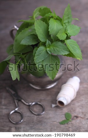 bunch of basil in a cup on the table, scissors
