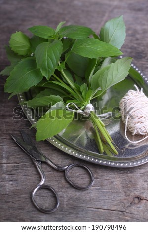 bunch of basil in a bowl on the table, scissors