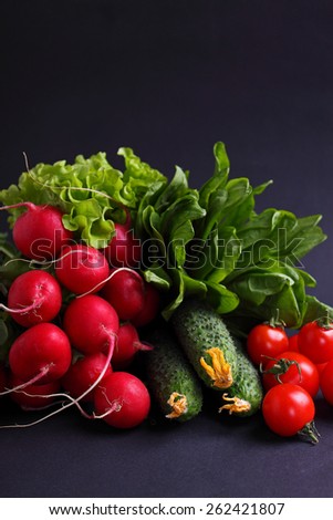 fresh vegetables and greens (cucumber, radish, tomato, lettuce, spinach) on a black background