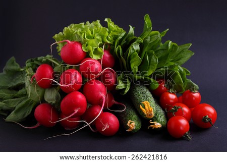 fresh vegetables and greens (cucumber, radish, tomato, lettuce, spinach) on a black background