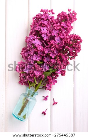 lilac branch on white background with glass bottle