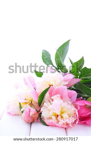 bouquet of pale pink peonies on a white background