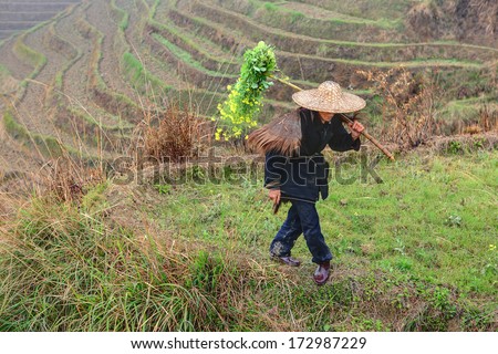 LONGSHENG, GUANGXI, CHINA - APRIL 3, 2010:  Farmland in  countryside of southwestern China,  rice terraces of rice fields,  peasant farmer villager walking on cultivated land. Dragon backbone