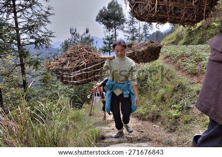 Langde Village, Guizhou, China - April 15, 2010: Young woman farmer carries the load on a yoke in the mountainous region of rural China.