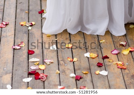 a background image of rose petals on the floor