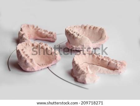 Dental Molds of Human Teeth isolated on white