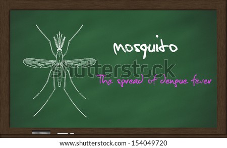 A blackboard used for scientific propaganda, describing mosquitoes spread dengue