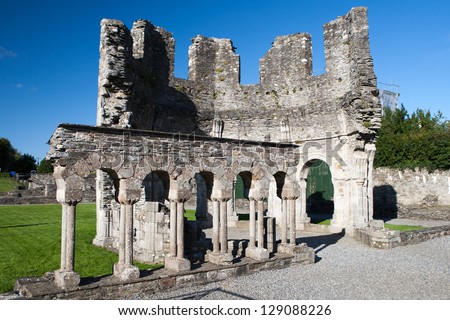 Mellifont Abbey located in County Louth (Ireland), was the first Cistercian abbey to be built in Ireland.