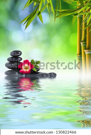 Zen Stones, rose and Bamboo on the water