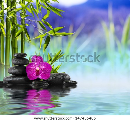 Purple Orchid, Stones And Bamboo On The Water